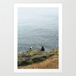 seal and seagull Art Print