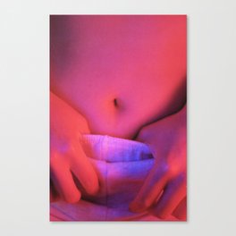 Belly I Canvas Print