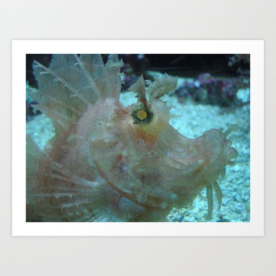 Crazy Fish Art Print