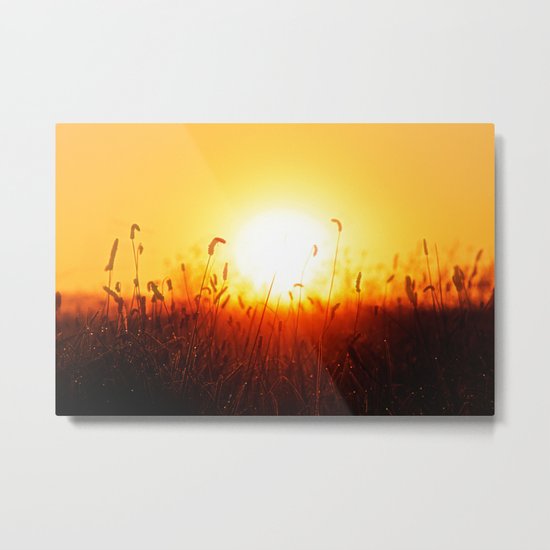 Good morning sunshine Metal Print