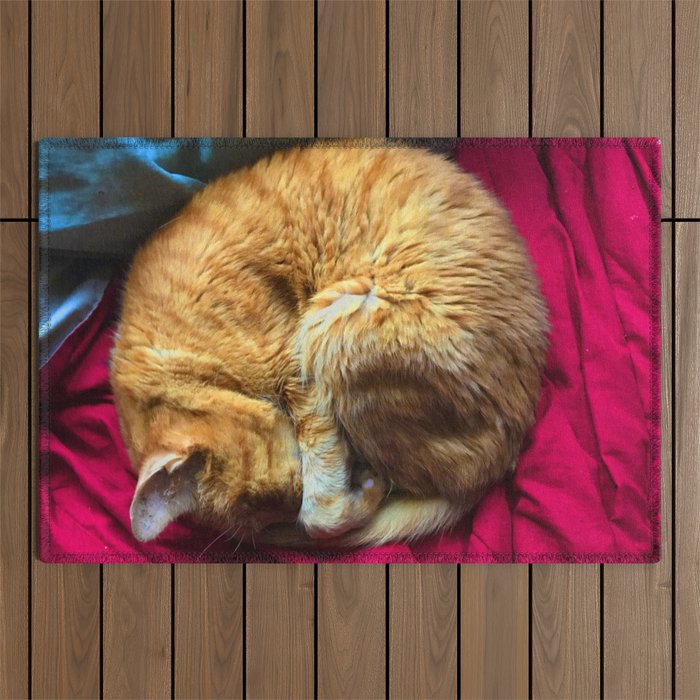 Sleeping Cat Orange On Red And Blue Outdoor Rug