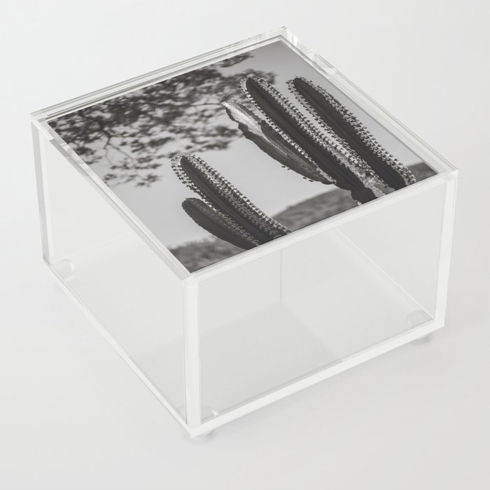 Cactus Photography - Black and White #1 Acrylic Box