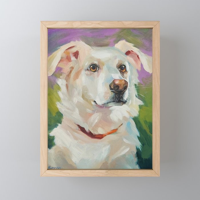 Border Collie Framed Mini Art Print