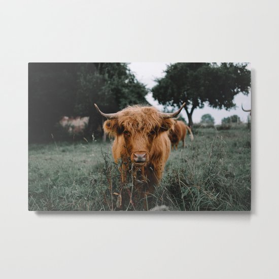 Highlander Metal Print