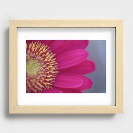 Pretty in Pink Recessed Framed Print
