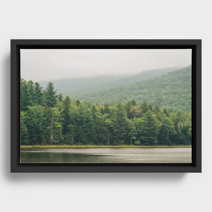 Framed Canvas