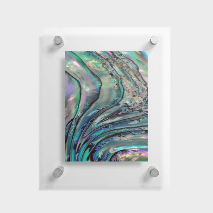 Green Abalone Iridescent Pearl Shell Floating Acrylic Print