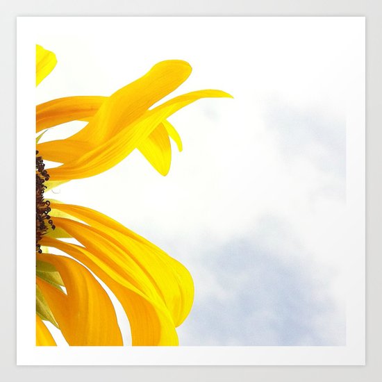 FLOWER 036 Art Print