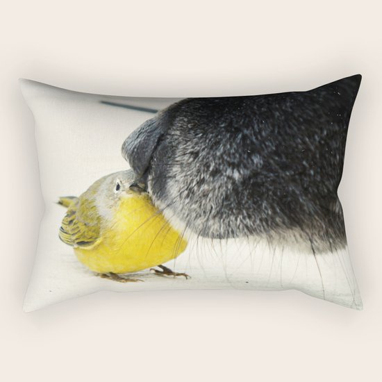 Best Friends Rectangular Pillow
