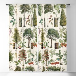 Adolphe Millot - Arbres B - French vintage botanical poster Blackout Curtain