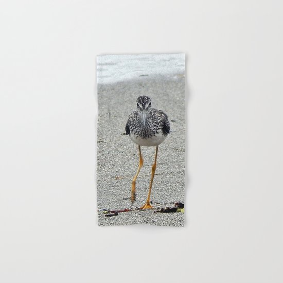 Greater Yellowlegs (Sandpiper) Looking at Camera Hand & Bath Towel