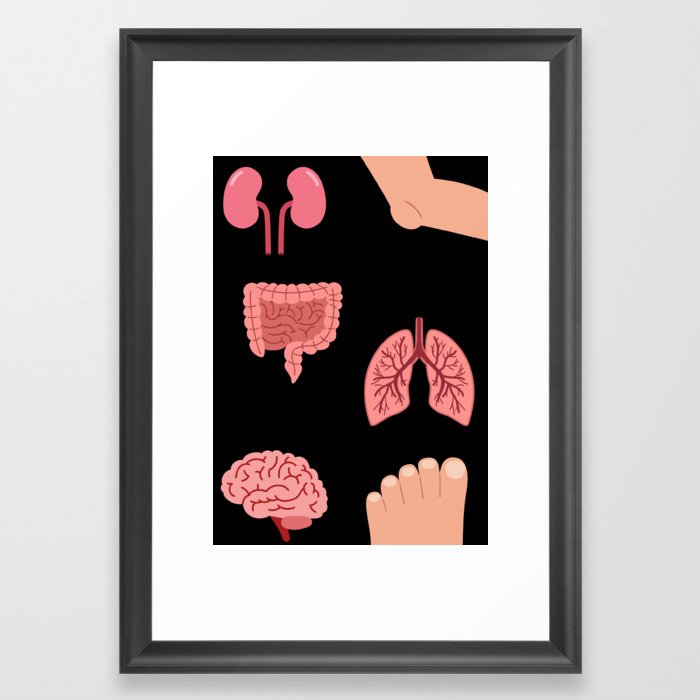 Human anatomy Framed Art Print