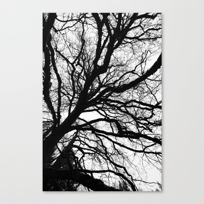 Tree forest wall art, trending minimalist Art, Minimalist, Black and White, Trees simple Canvas Print