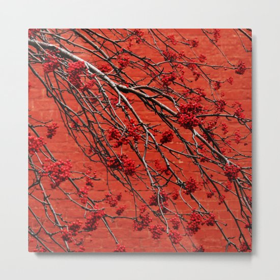 ...or without Metal Print
