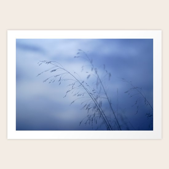 Blue nights Art Print