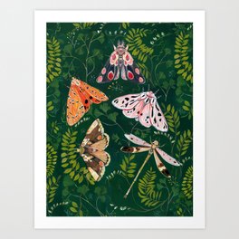 Moths and dragonfly Art Print