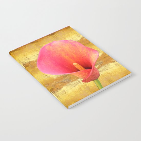 Reiterate Notebook