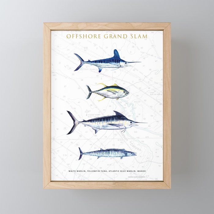 White Marlin, Yellowfin Tuna, Blue Marlin, Wahoo; Mid-Atlantic Offshore Grand Slam Framed Mini Art Print