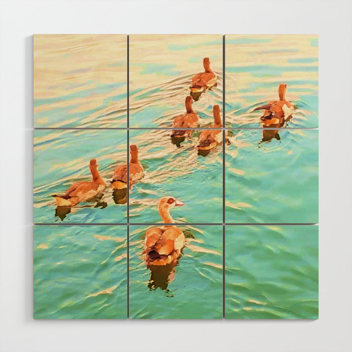 Ducks in the water,  duck, ducks,. swan, swans, sea, beach, summer, blue, bird, birds, swan, swans, spring,   Wood Wall Art