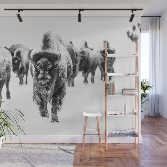 Winter Buffalo x Yellowstone Decor Wall Mural
