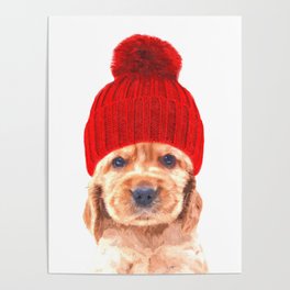 Cocker spaniel puppy with hat Poster