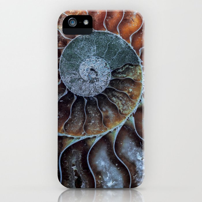 iphone fossil