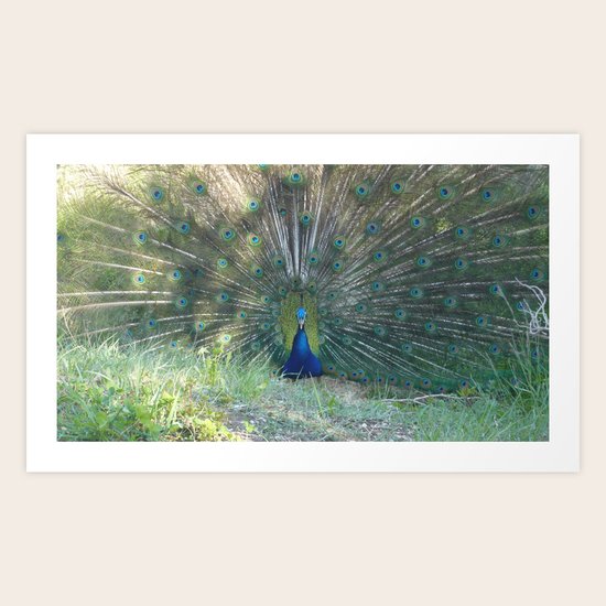 Showman Art Print