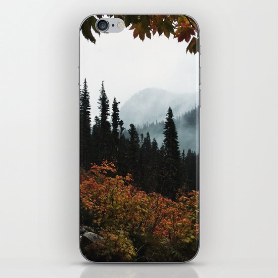 Fall Framed Trail iPhone & iPod Skin