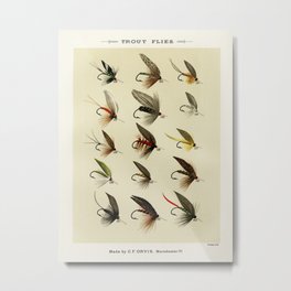 Vintage Fly Fishing Print - Trout Flies Metal Print