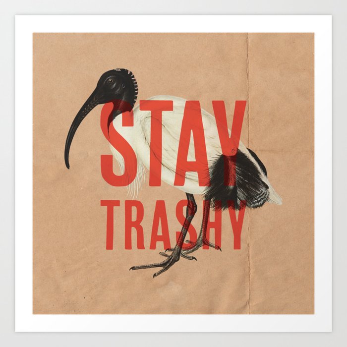 Stay Trashy Ibis Art Print