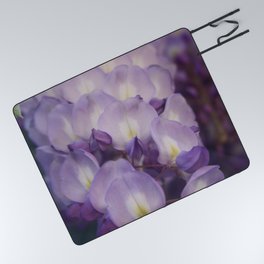 Pale Mauve And Purple Wisteria Flowers In Close Up Picnic Blanket