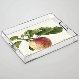 Apple (Malus Domestica) Acrylic Tray