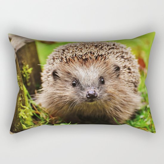 Cute Little Hedgehog Rectangular Pillow