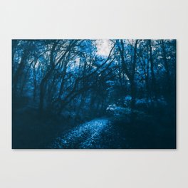 Haunted forest Canvas Print