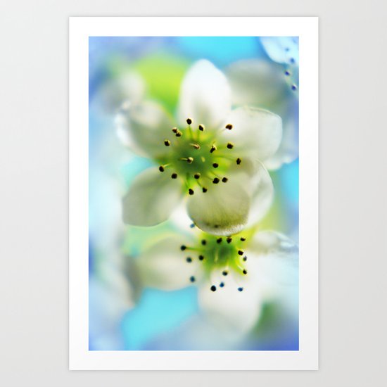 Blossom aqua Art Print