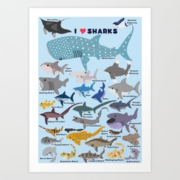 I Heart Sharks Art Print