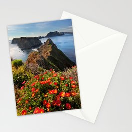 Anacapa Island and Ice Plant, Channel Islands National Park, California Stationery Cards