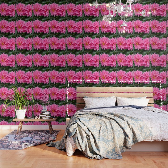 Pink Dahlia In The Garden Wallpaper By Spetenfia Society6
