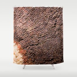 Pinecone Shower Curtain