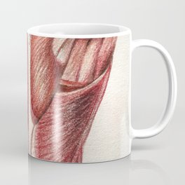 Anatomy Coffee Mug