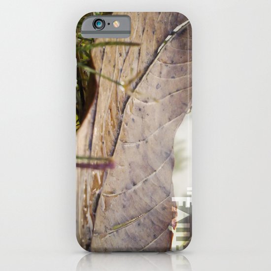 Dew drops on a fallen leaf iPhone & iPod Case