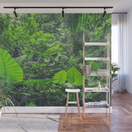 forest / nature photography, jungle landscape Wall Mural