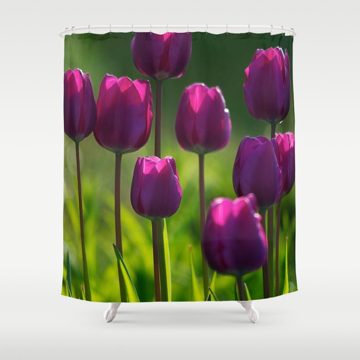 Fascinating Gracious Pretty Lilac Blossom Bouquet UHD Shower Curtain