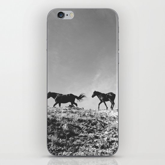 Pryor Mountain Wild Mustangs iPhone Skin