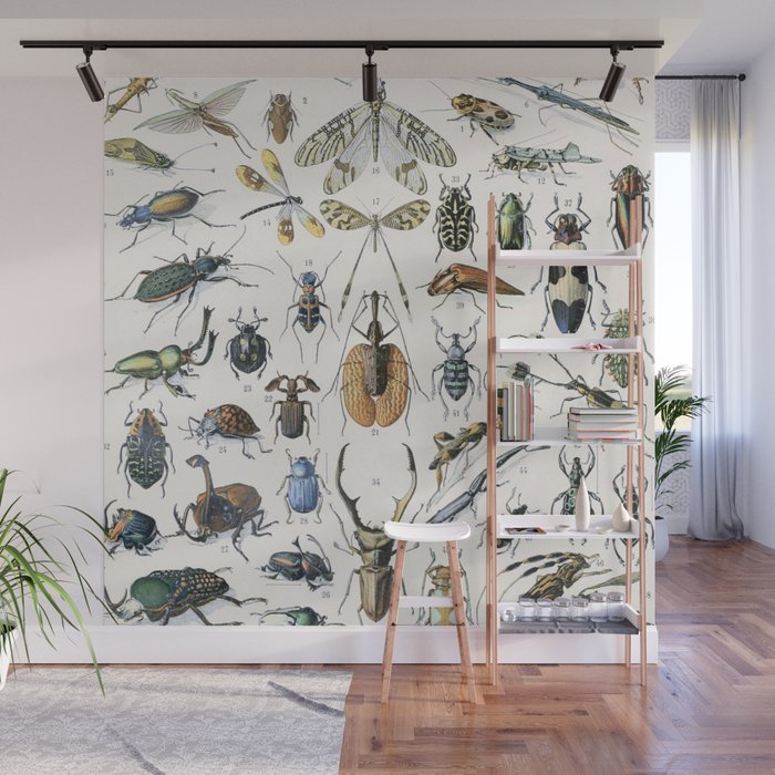 Insects by Adolphe Millot Wall Mural