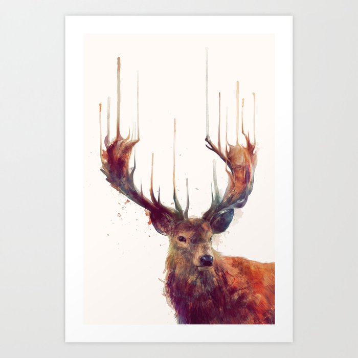 Red Deer // Stag Art Print