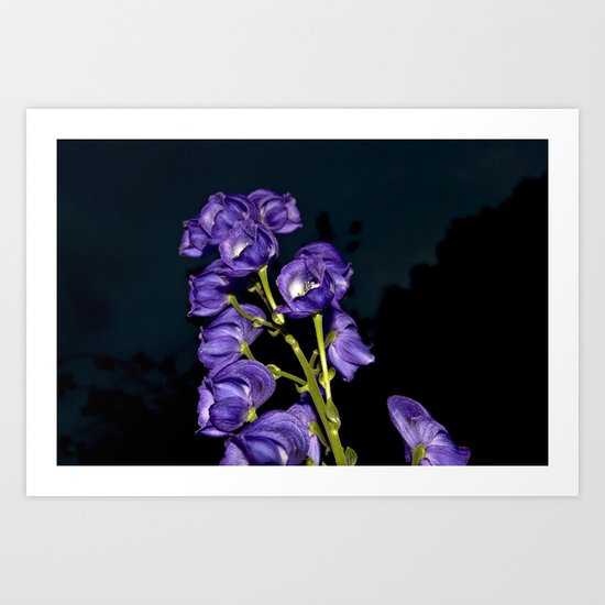 Dark Purple Elegance Art Print