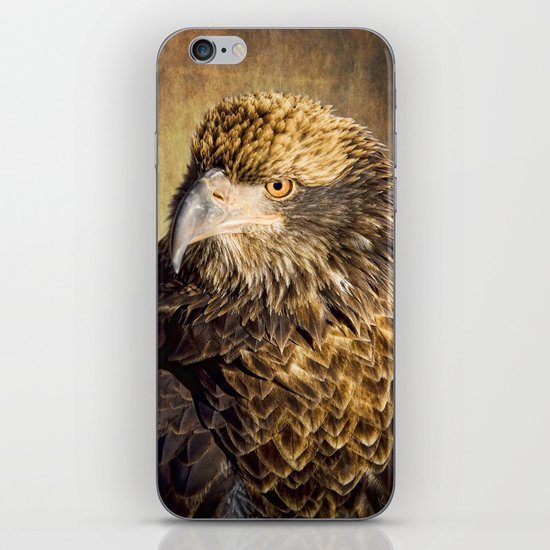 Fine Feathered Friend iPhone & iPod Skin