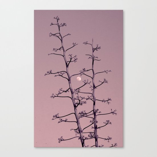 Luna y Tequila Canvas Print