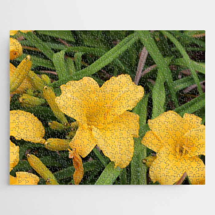 Yellow Day Lily 2 Jigsaw Puzzle